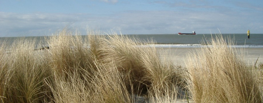 Meerblick